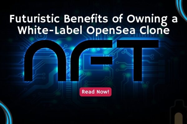 Futuristic Benefits of Owning a White-Label OpenSea Clone