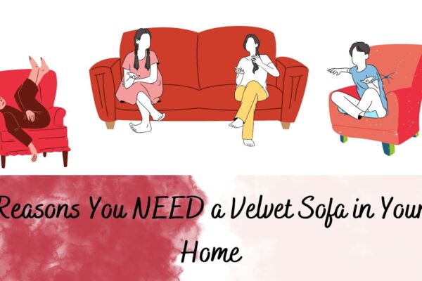 Reasons You NEED a Velvet Sofa in Your Home