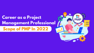 Scope of PMP in 2022