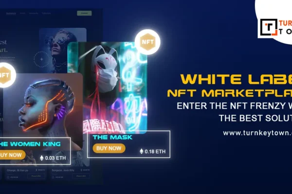 Customizing Your NFT Marketplace with a White-Label NFT Platform Development